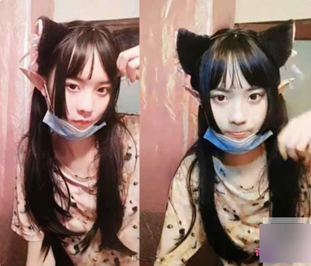 人气小萌妹的精品合集，让你爱上猫奴丫的某推