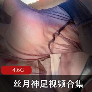 足系列绅士梦中情人丝月神足视频合集