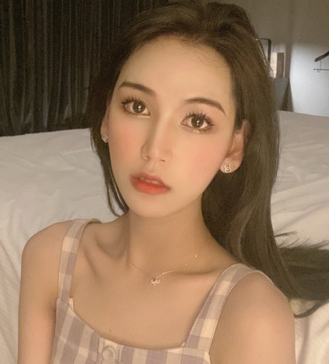 TS李智贤的高人气推特资源整合