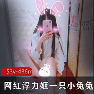 神秘FL姬白丝合集