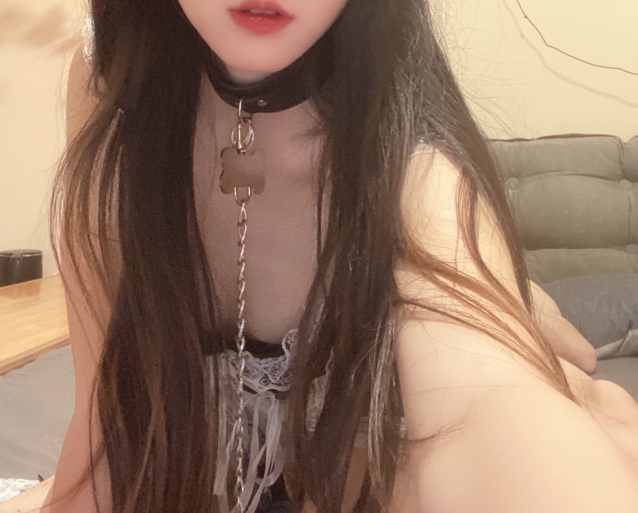 南京新婚男人回家的有趣小狗