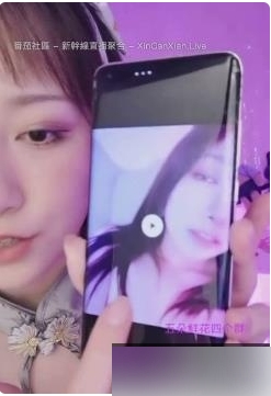 刘斯琦的5部商品