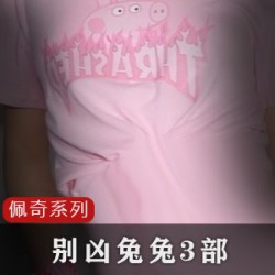 经典网红兔兔3部