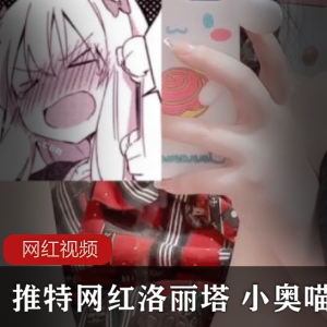 小奥喵的推特网红妹子作品