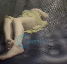 自行打包的海角fengrufeitun的姐姐合集