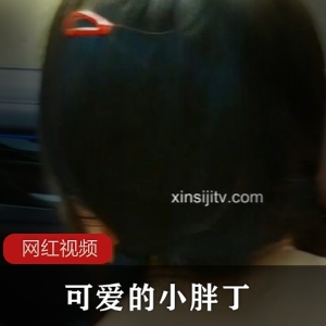 可爱小胖丁最新作品：迷你毛绒玩具