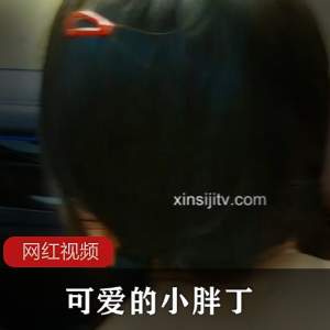 可爱小胖丁最新作品：迷你毛绒玩具