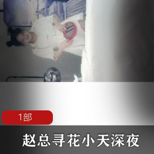 深夜寻花的赵总与身材美妇小天的肉肉