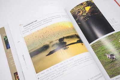 摄影必修课套装-4册