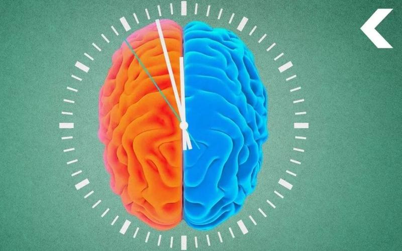 脑雾修复和提升注意力、记忆力的喜悦商品