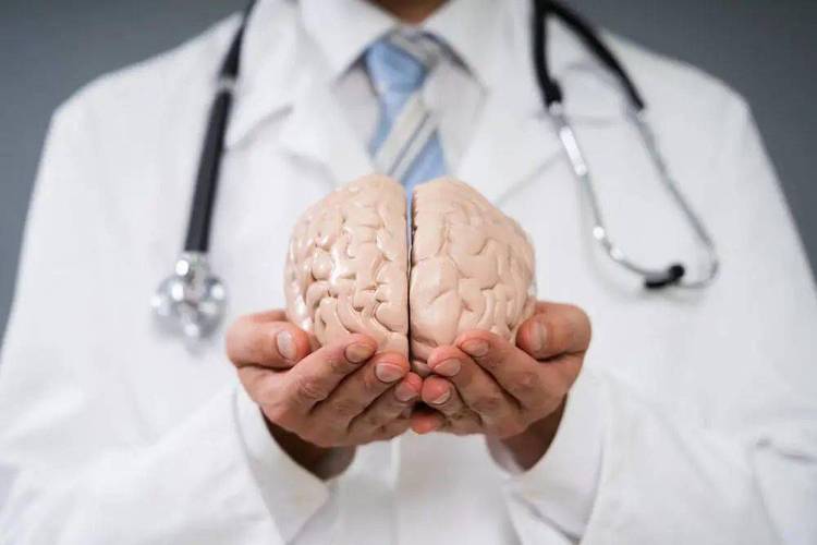 脑雾修复和提升注意力、记忆力的喜悦商品