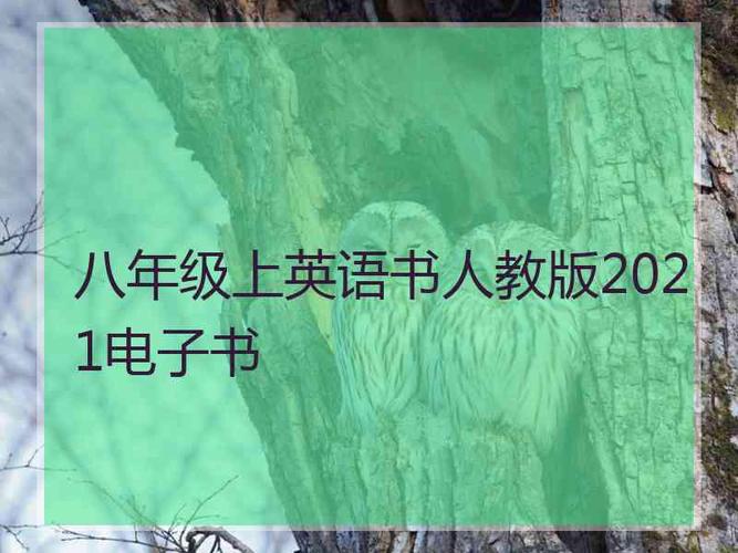 2021年出版的电子书籍，适合收藏的一册