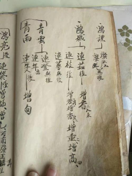 上海图书馆藏8603册家谱数据库