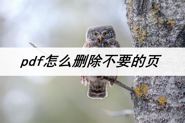 鲁班书：绝境求生必备，男科医生专用指南