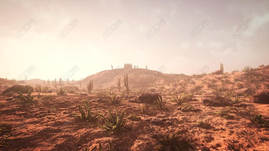 丝路夜谭:世界民间故事合集(共7册)