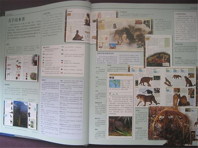 百科全书合集5000本,快速查询百科知识