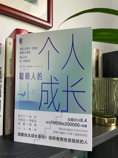 好书推荐：提高学习力和专注力的训练技巧，适合聪明但混乱的孩子