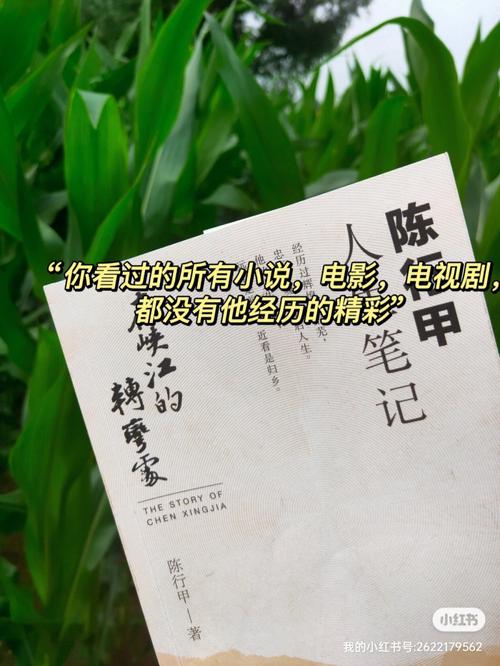 峡江转弯处:陈行甲的人生笔记(epub版)