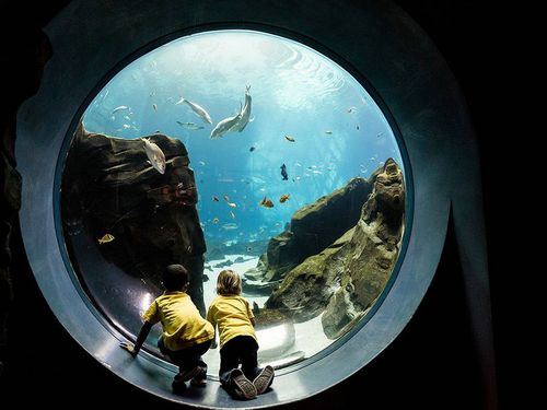 国家地理美国旅行摄影集合(2016-2021.08)