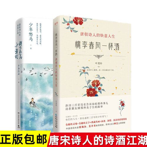 鲜衣怒马：唐宋诗人的诗酒江湖