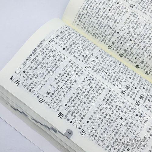 中文常用工具书系列字典大全