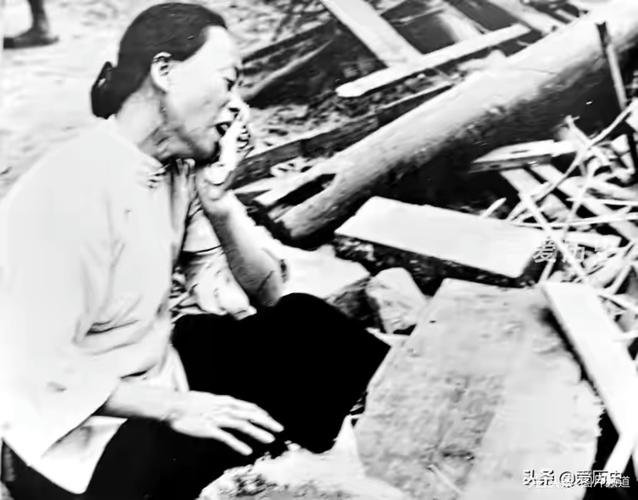 中国家庭百年动荡叶