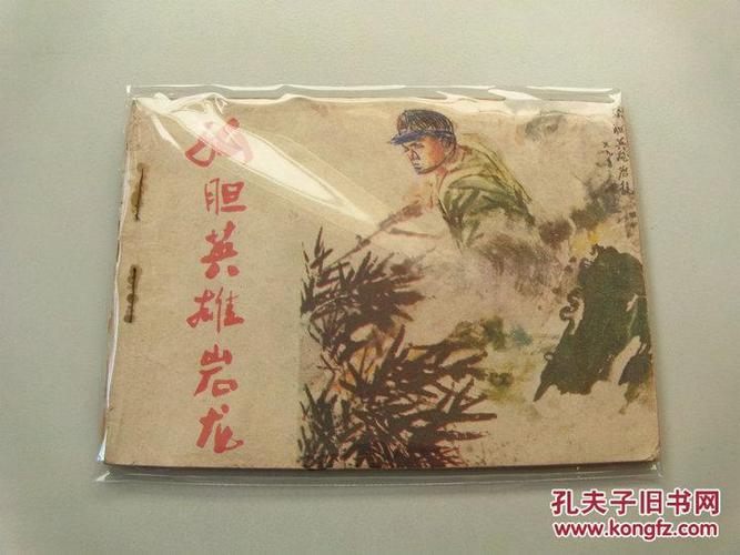 珍藏版对越自卫反击战图书