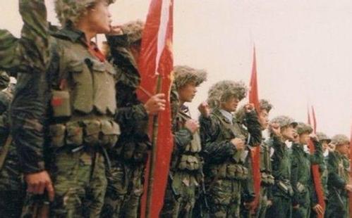 珍藏版对越自卫反击战图书