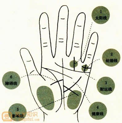 图解教学:了解手相、掌相和掌纹的指南
