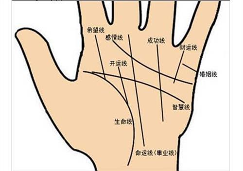 图解教学:了解手相、掌相和掌纹的指南