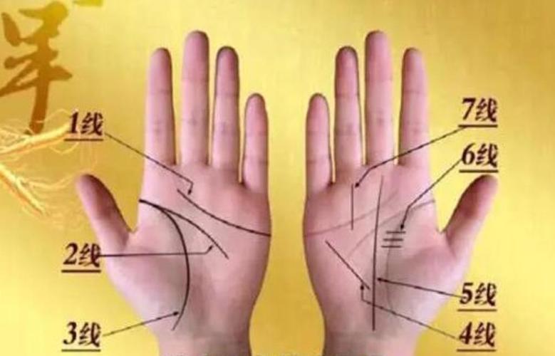 图解教学:了解手相、掌相和掌纹的指南
