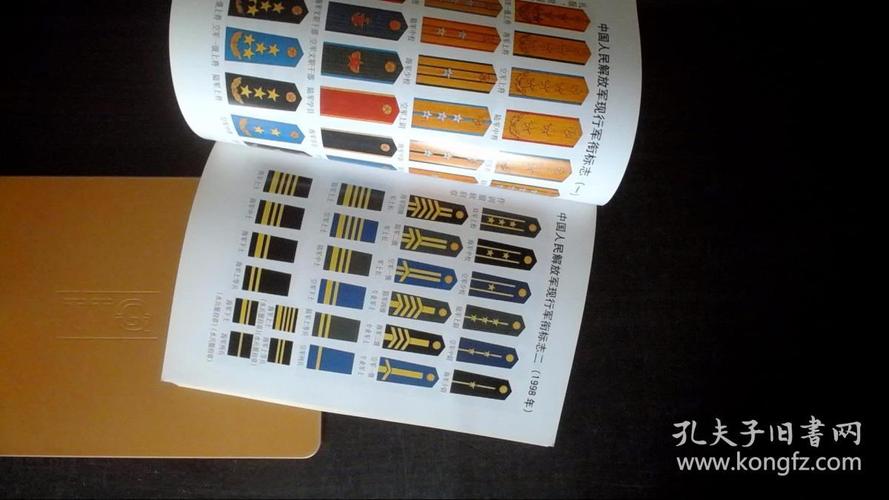 二战参战国军衔服饰图鉴-徐平扫描版