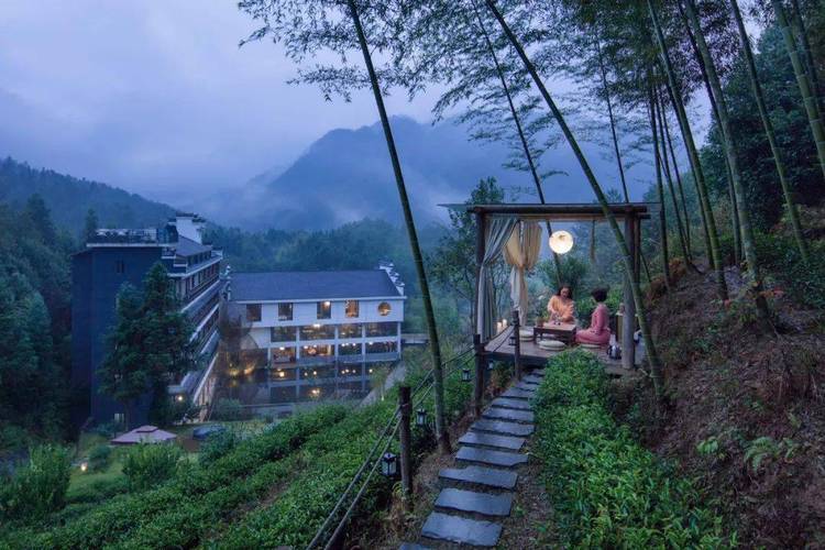 官场文化中的潜规则和机会,净素道人的epub