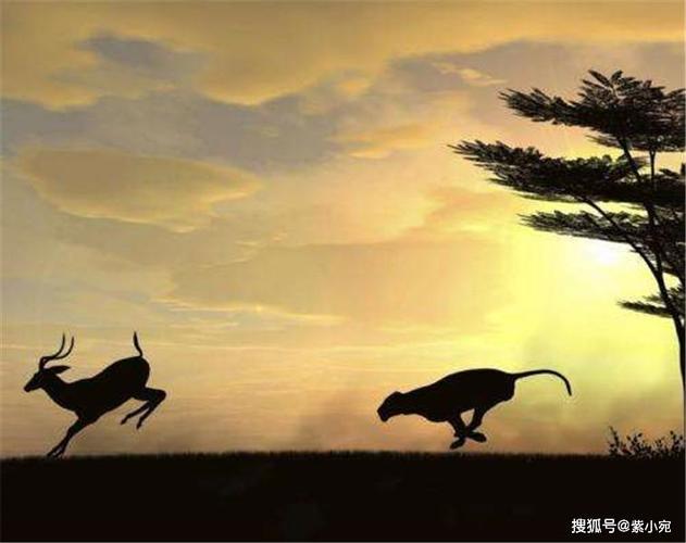 疯狂世界生存法则套装13册