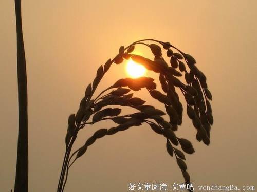 充满希望的书籍:迎接每一天(10册)