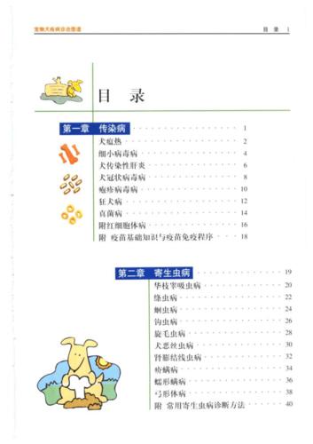 宠物狗饲养和训练手册