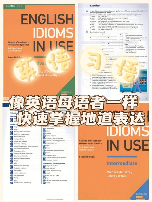 优质英语自学书籍:剑桥英语在用全系列,包含语法、词汇、口语、固定搭配、俗语和短语动词。