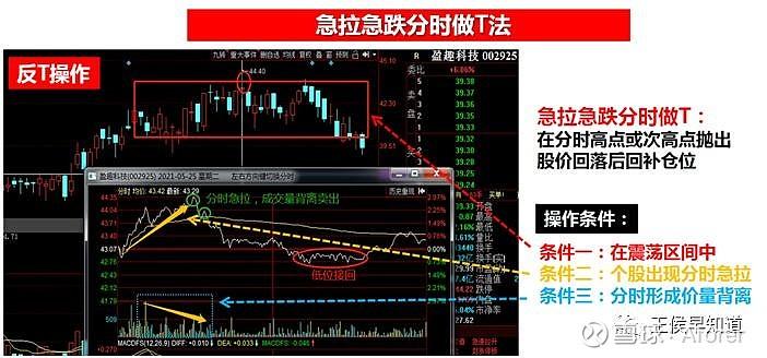 股票T+0滚动交易法高清