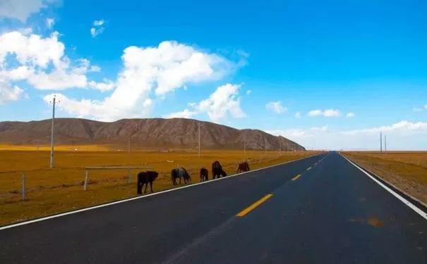 唱自己的故事:路上的车