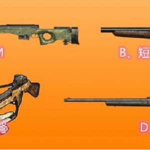 世界王牌武器大全集