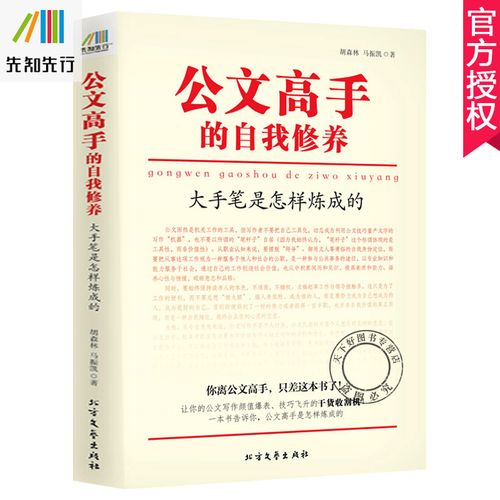 大手笔:资深秘书的公文写作秘笈