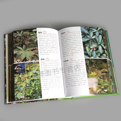 盆花栽培与鉴赏彩se+tu鉴