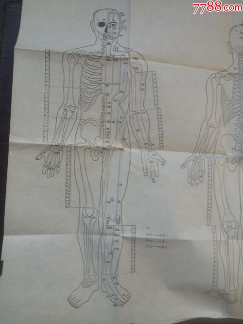 古籍中的人体穴位按摩示意图