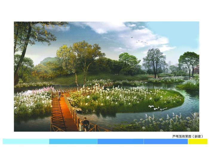 湿地植物365种水生彩se+tu鉴PDF