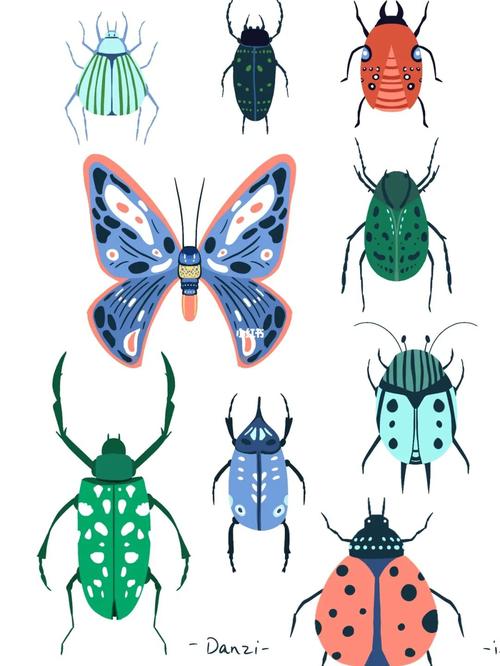 中国昆虫生态大图鉴初级教程