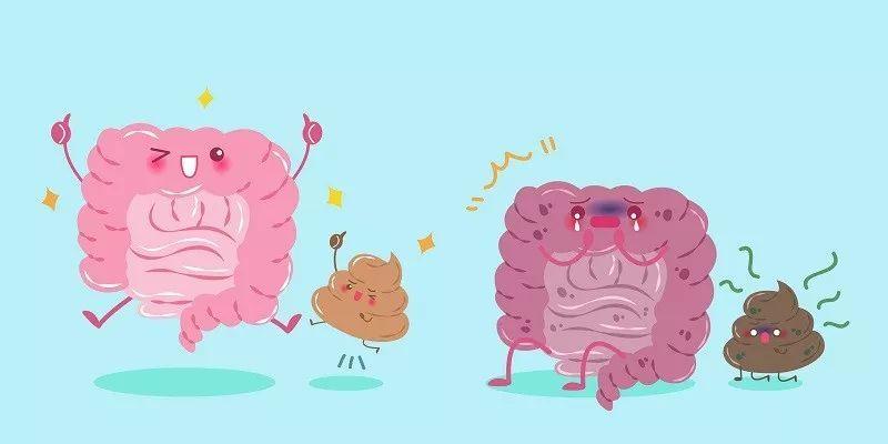 梅奥拯救车灯全书：权威指南乳腺癌抗癌