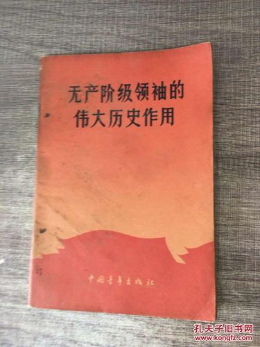中产阶级孩子们在60年代的文化中争夺领导权,程巍的观点