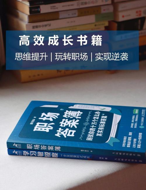 个人成长系列书籍：职场成功指南