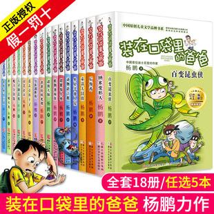 装在口袋里的爸爸