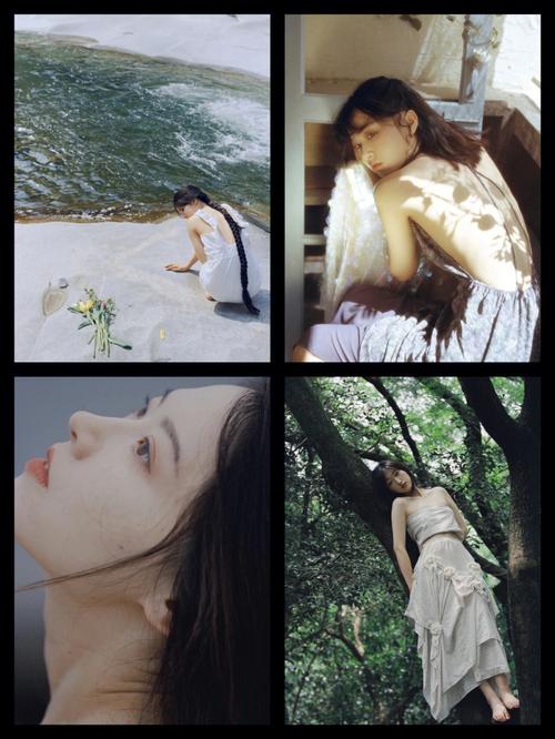 摄影学习的美学